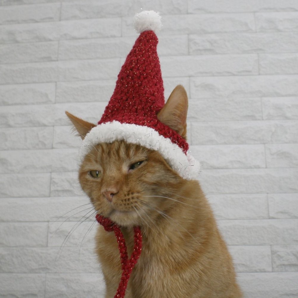 HAND CRAFTED Crochet Santa Cat Pet Hat Costume Photo Prop Christmas Holiday - Picture 4 of 14